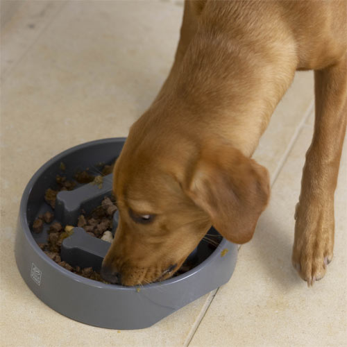 Go Slow Dog Bowl