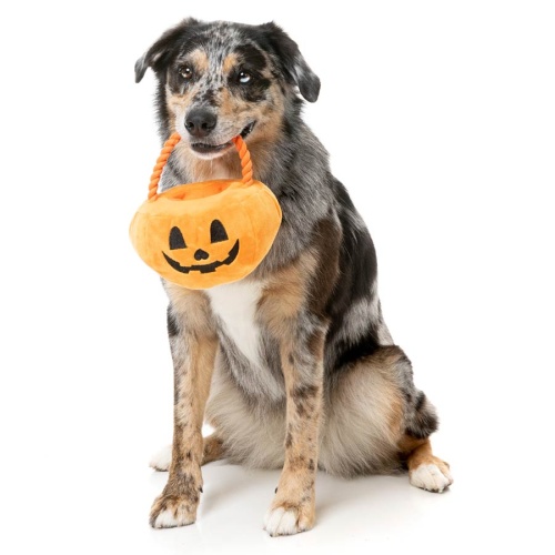 Trick or Treat Pumpkin Basket