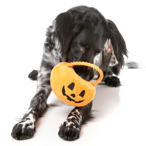 Trick or Treat Pumpkin Basket