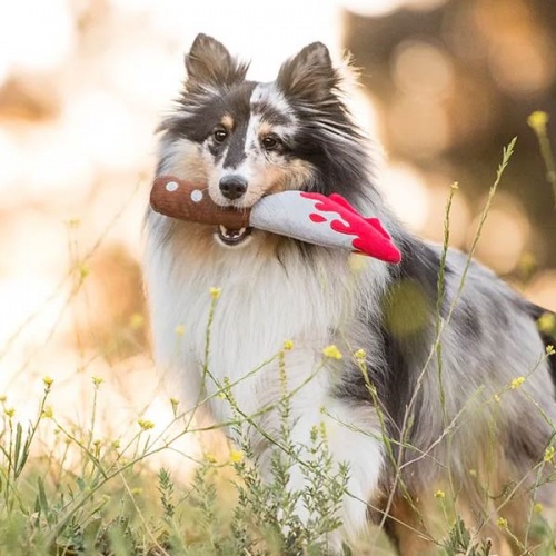 Halloween Dog Toy - Doggy Dagger