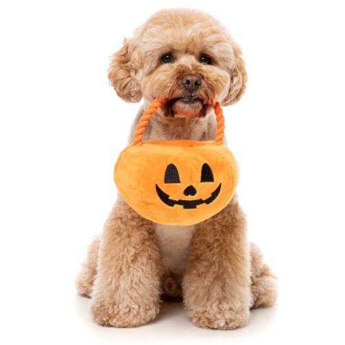 Trick or Treat Pumpkin Basket