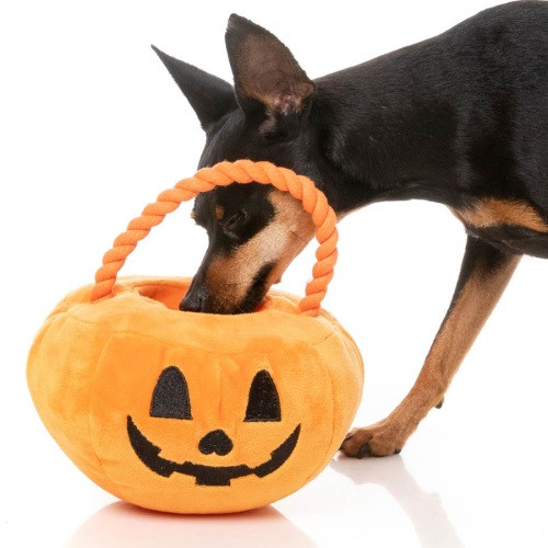 Trick or Treat Pumpkin Basket