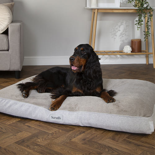 Harvard Memory Foam Dog Mattress