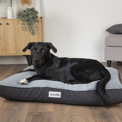 Harvard Memory Foam Dog Mattress