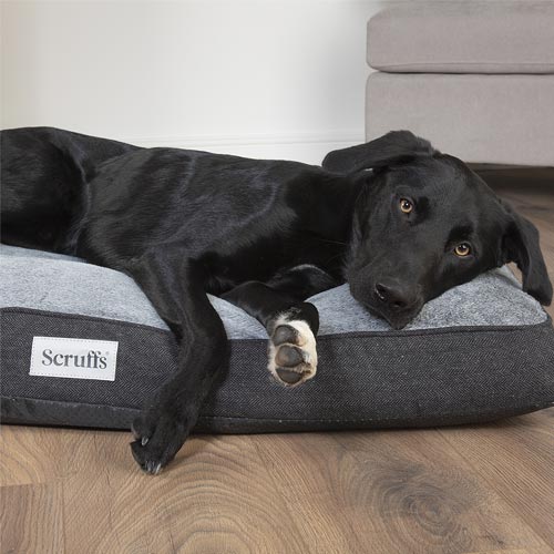 Harvard Memory Foam Dog Mattress