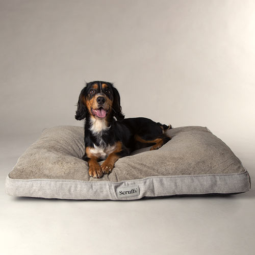 Harvard Memory Foam Dog Mattress