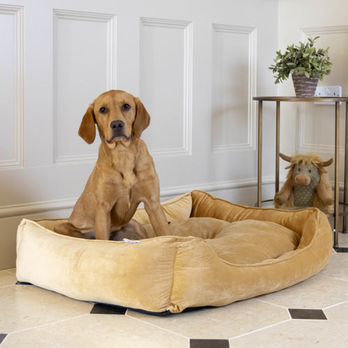 House of paws dog bed best sale