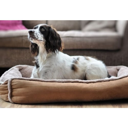 Large Cradle Dog Bed