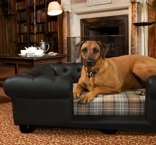 is leather couches good for dogs