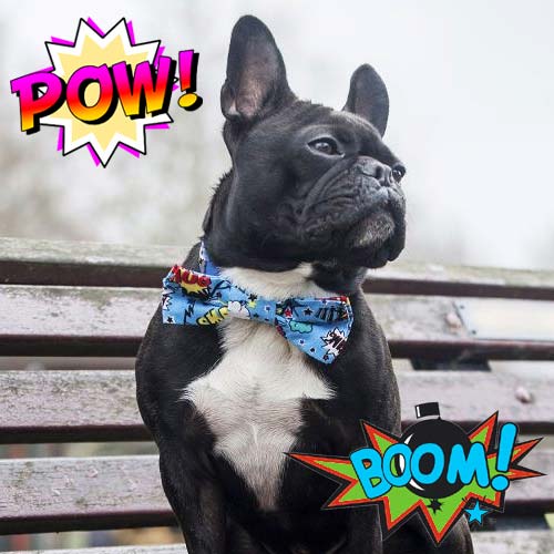 buy dog bow tie