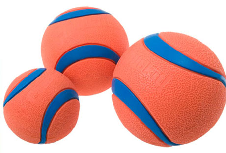 orange dog ball