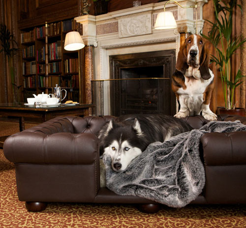 large dog sofa bed