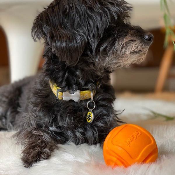 GiGwi G-Foamer Dog Ball | Foam Rubber Dog Ball