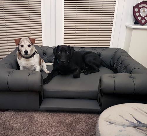 Balmoral Grey Real Leather Dog Bed | UK 