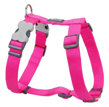 pink dog collar and lead