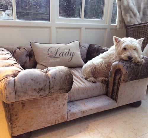 Crushed Velvet Luxury Dog Sofa Bed 