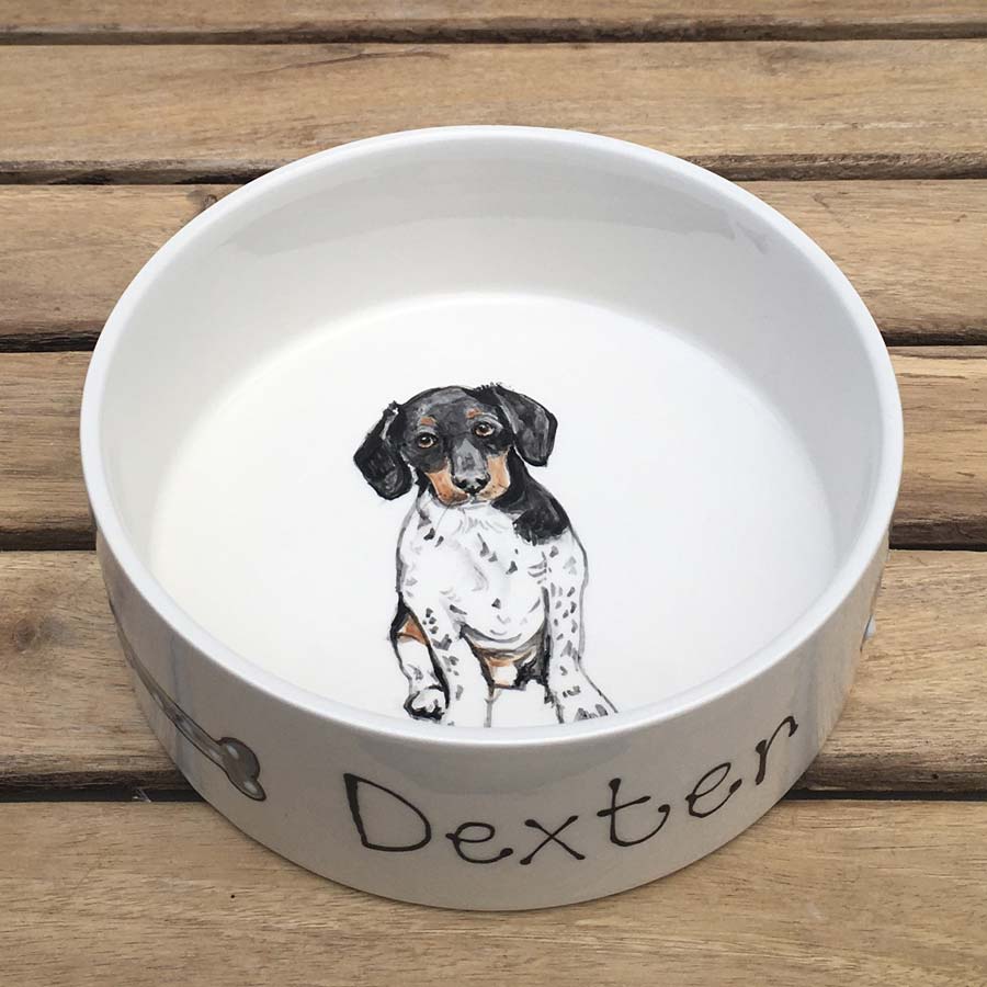 a dog bowl