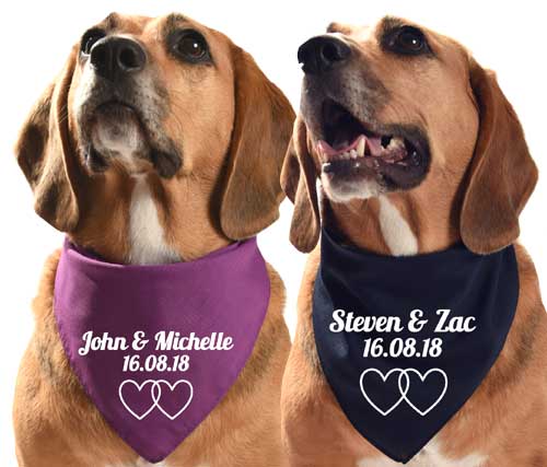 personalised dog bandana