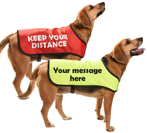 Dog Warning Coat or Message Jacket | Hi 