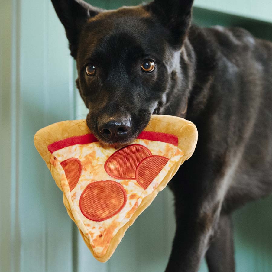 Pizza dog toy best sale