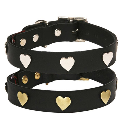 Studded Black Leather Dog Collar