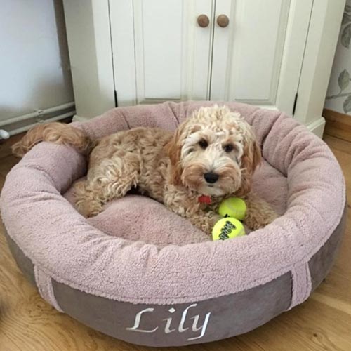 Personalised Dog Bed - Donut