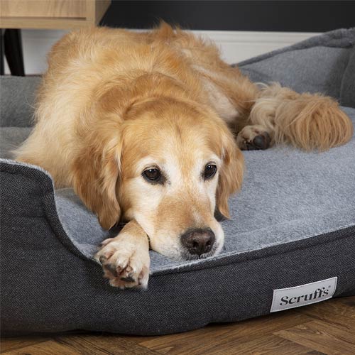 Harvard Memory Foam Box Bed