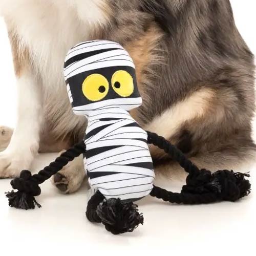 Halloween Dog Toy - Ryan Gauze-ling