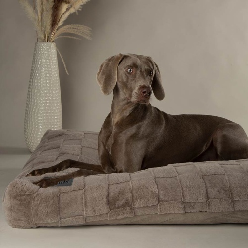 Oxford Memory Foam Dog Mattress