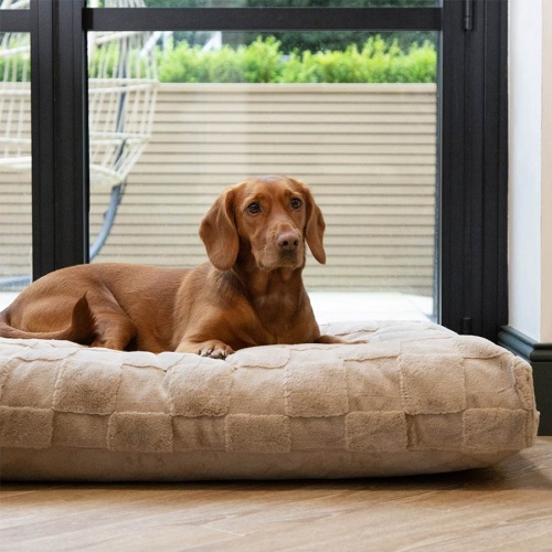 Oxford Memory Foam Dog Mattress