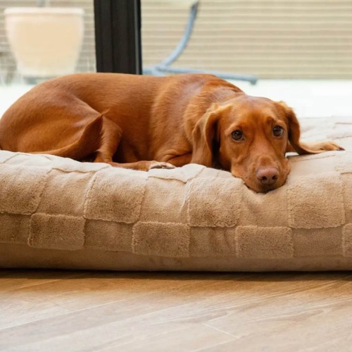 Oxford Memory Foam Dog Mattress