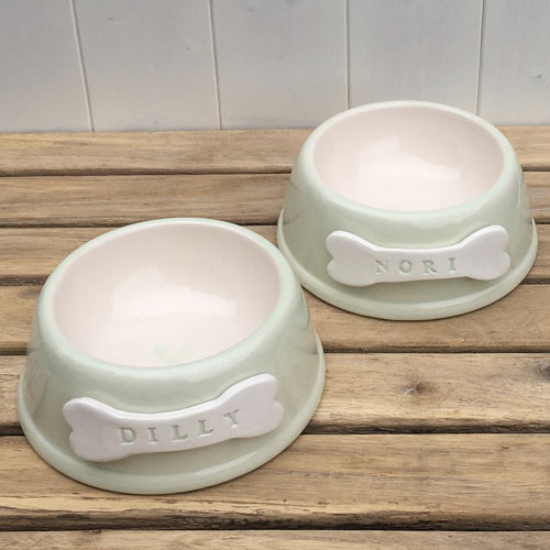 Personalised Green, Orange, Blue or Pink Dog Bowl | D for Dog