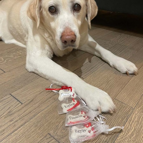 Personalised Bone Xmas Tree Ornament