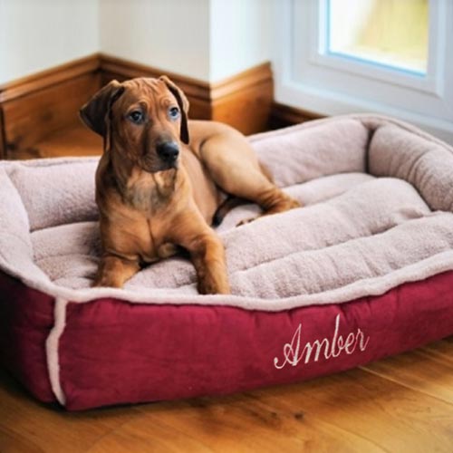 Personalised Dog Bed - Cradle