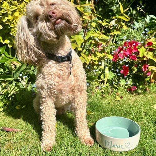 Personalised Dog Bowl - Heart Font