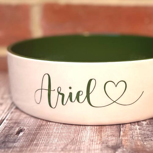 Personalised Dog Bowl - Colour Pop