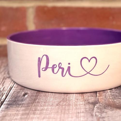 Personalised Dog Bowl - Colour Pop