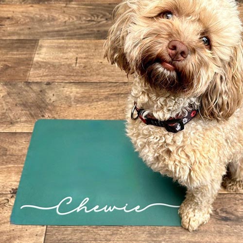 Personalised Dog Bowl Mat - Colourful