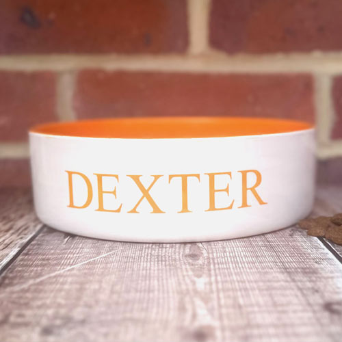 Personalised Dog Bowl - Colour Pop