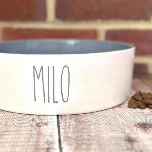 Personalised Dog Bowl - Colour Pop