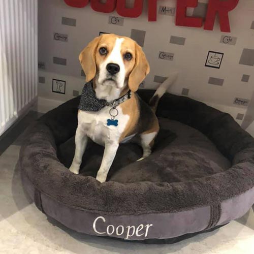 Personalised Dog Bed - Donut