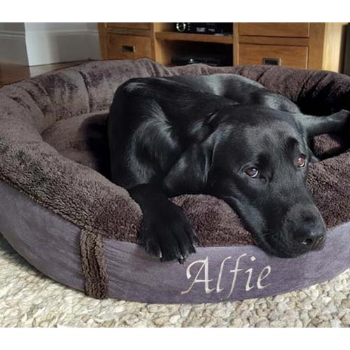 Personalised Dog Bed - Donut