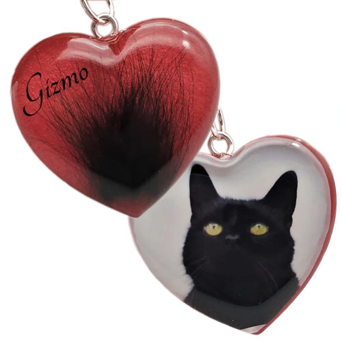 Pet Loss Photo & Fur Heart Necklace