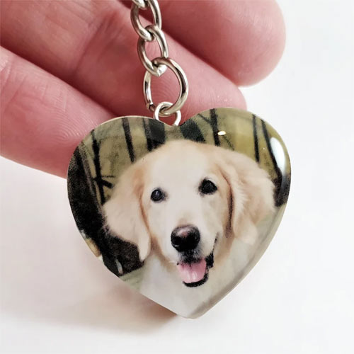 Pet Loss Photo & Fur Heart Necklace