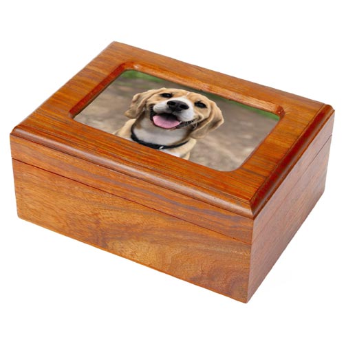 Wooden Pet Memory Box Howden