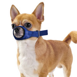 Quick Muzzle For Dogs | Nylon Muzzle 