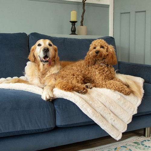 Luxury Aspen Pet Blanket