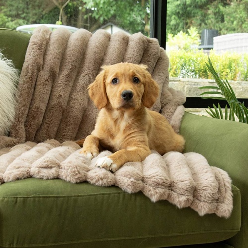 Luxury Aspen Pet Blanket