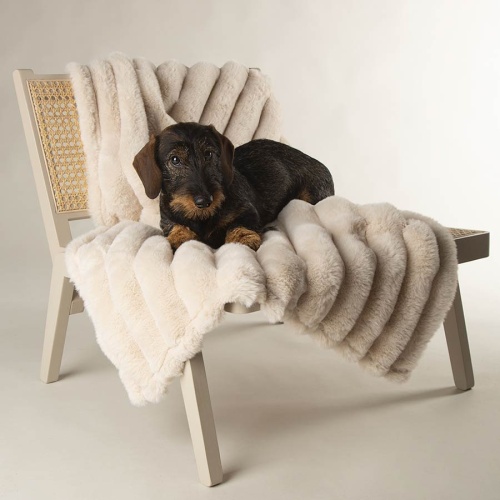 Luxury Aspen Pet Blanket