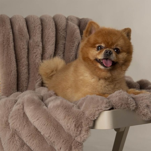 Luxury Aspen Pet Blanket